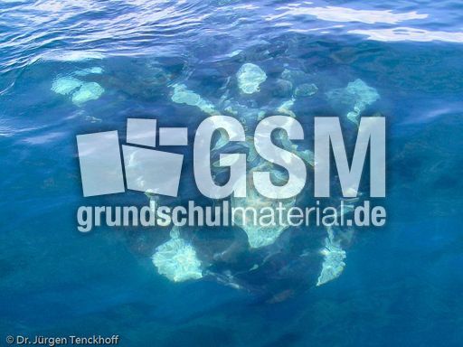 Buckelwal (16 von 57).jpg